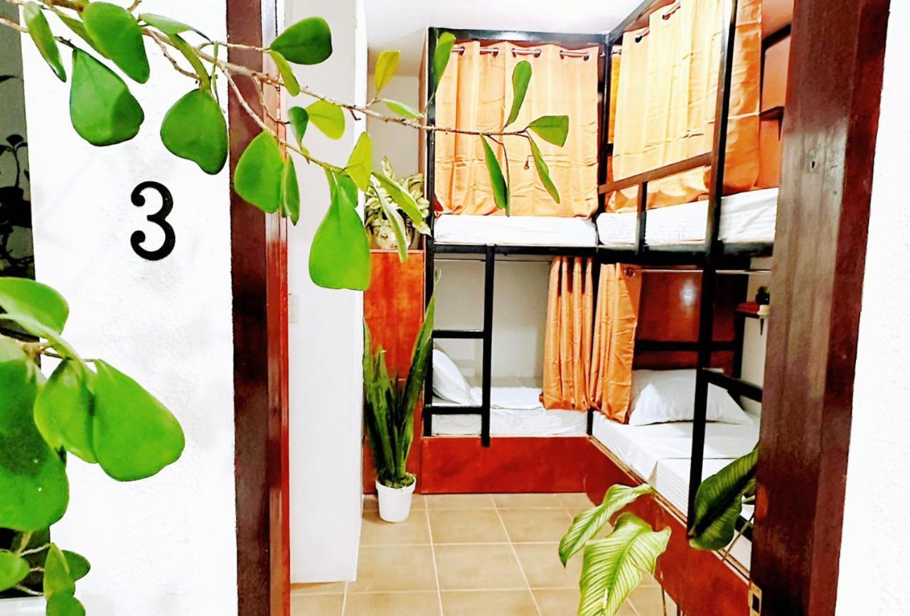 Moana Beach House Moalboal Exterior foto